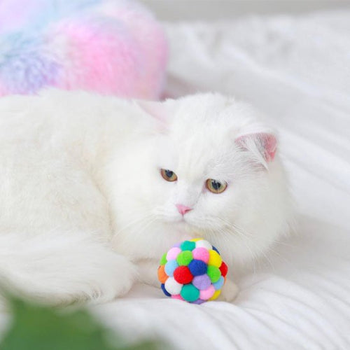 jouet pour chat balle multicolore chat allonge