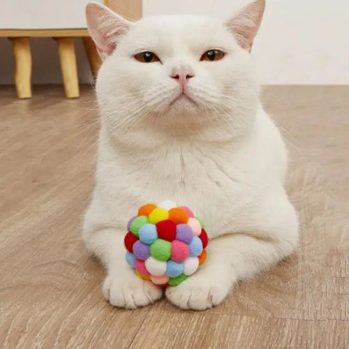 jouet pour chat balle multicolore chat apaise