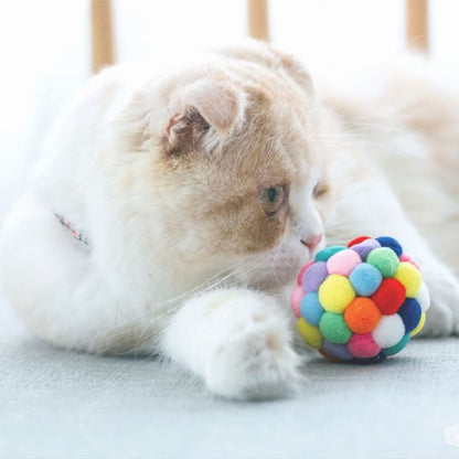 jouet pour chat balle multicolore chat jouant
