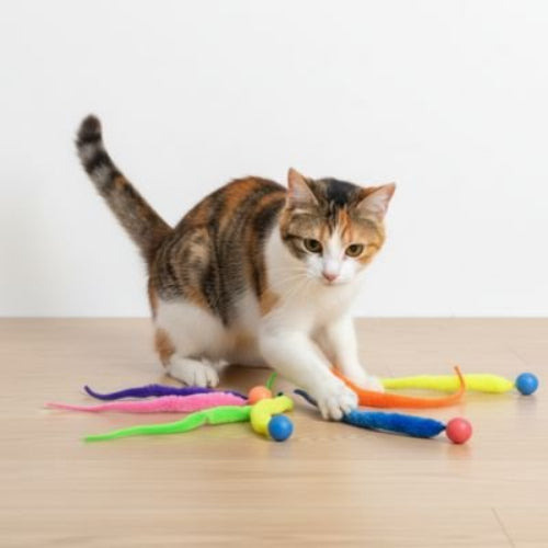 jouet pour chat balle rebondissante colore avec chat