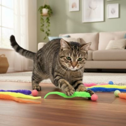 jouet pour chat balle rebondissante colore chat jouant