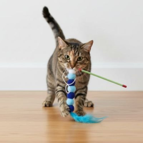 jouet pour chat canne a peche a pompons bleu
