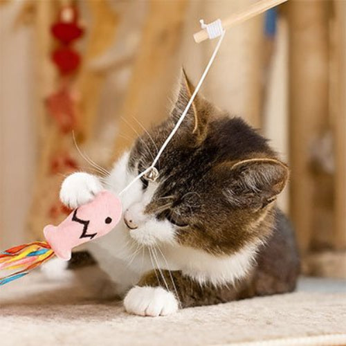 jouet pour chat canne a peche chat poisson rose