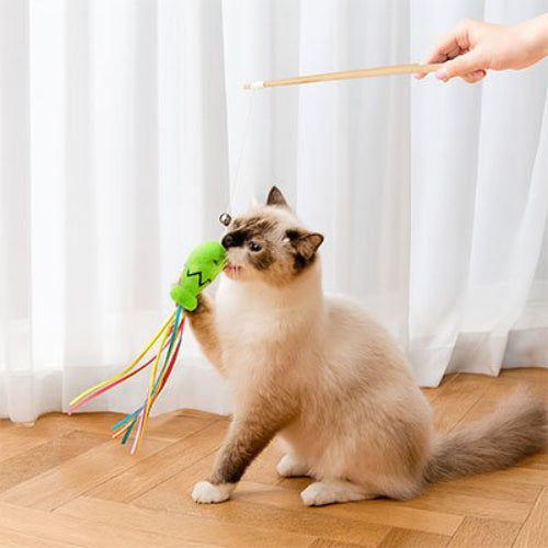 jouet pour chat canne a peche chat poisson vert