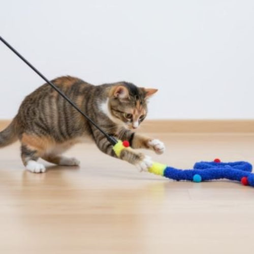jouet pour chat canne a peche chenille chat jouant