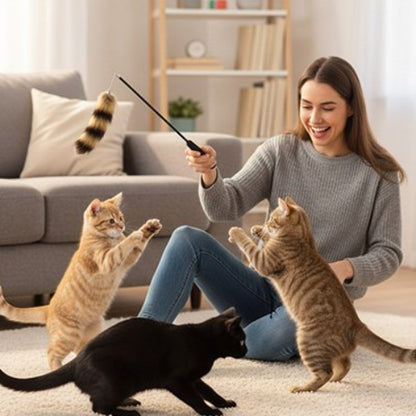 jouet pour chat canne a peche plumeau maitresse chats