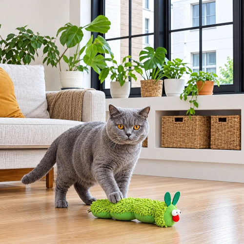 jouet pour chat chenille verte avec chat