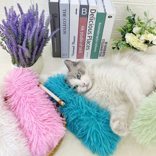 jouet pour chat coussin allonge rose bleu chat allonge