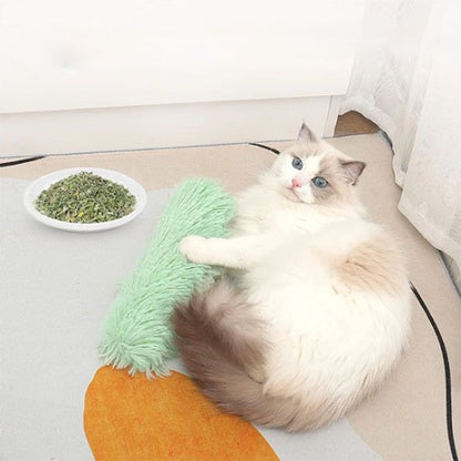 jouet pour chat coussin allonge vert chat allonge