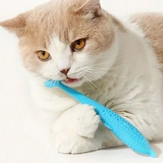 jouet pour chat dauphin bleu avec chat