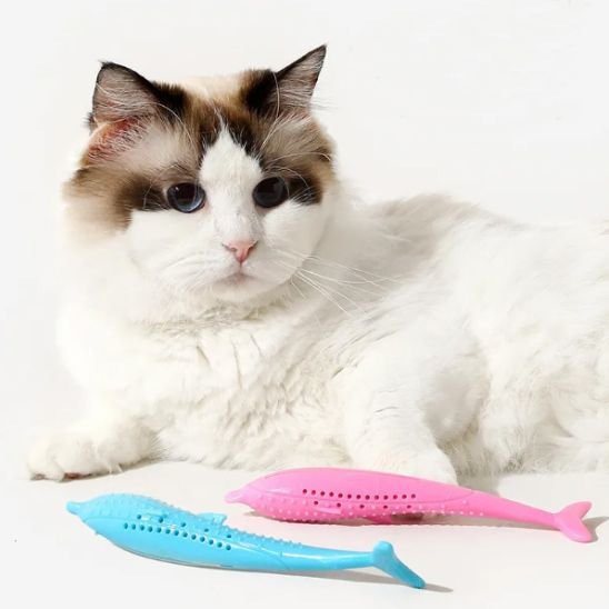 jouet pour chat dauphin bleu rose chat allonge