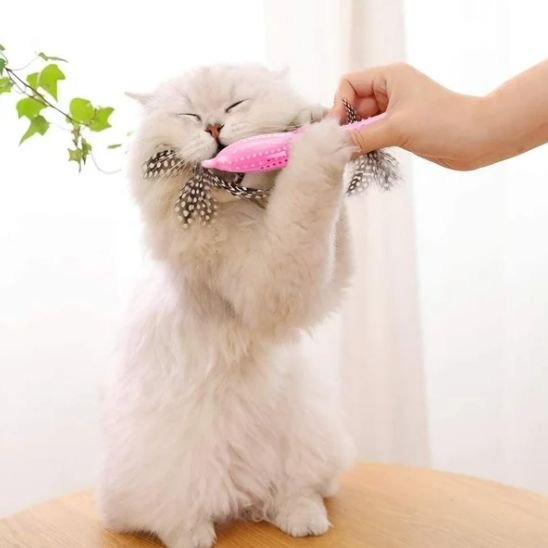 jouet pour chat dauphin rose chat jouant