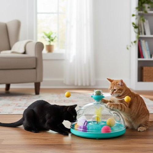 jouet pour chat dome transparent turquoise chats jouant salon