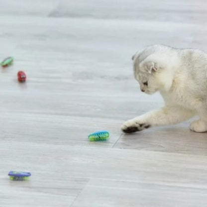 jouet pour chat insecte vers avec chat