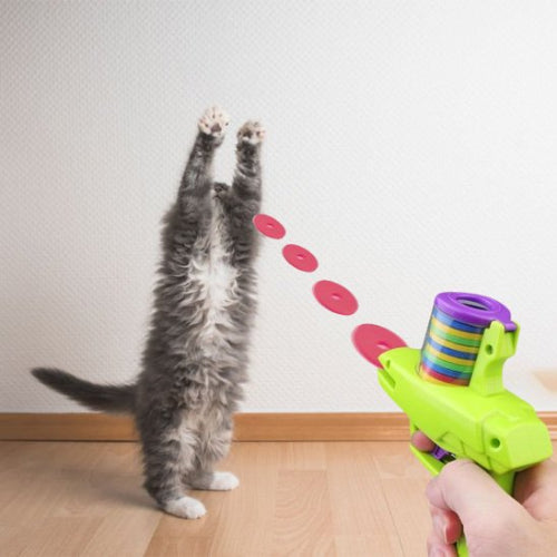 jouet pour chat lanceur automatique avec chat