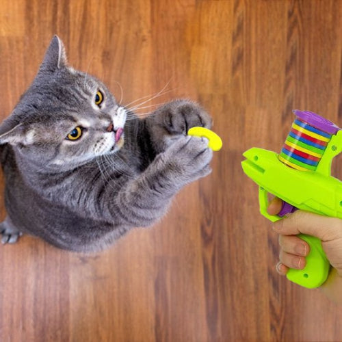 jouet pour chat lanceur automatique chat jouant