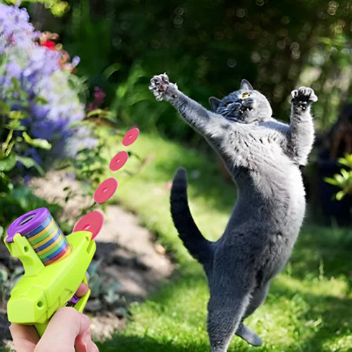 jouet pour chat lanceur automatique chat sautant