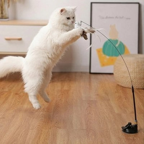 jouet pour chat oiseau blanc chat sautant salon