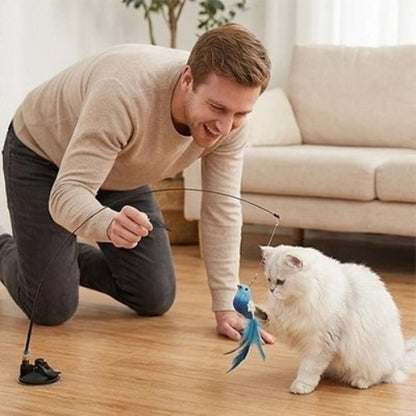 jouet pour chat oiseau bleu maitre chat assis salon