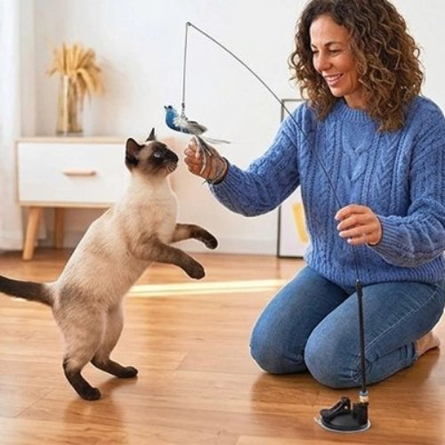 jouet pour chat oiseau bleu maitresse chat debout