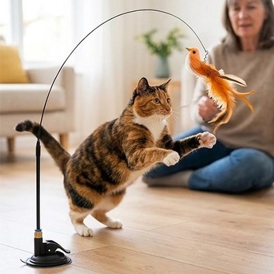 jouet pour chat oiseau marron chat sautant maitresse