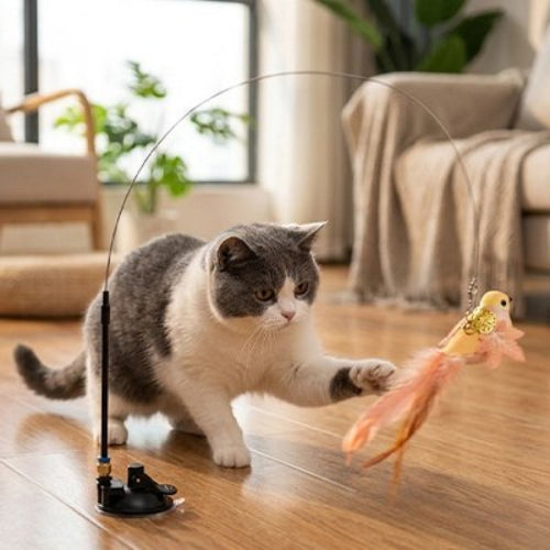 jouet pour chat oiseau orange chat attrapant salon