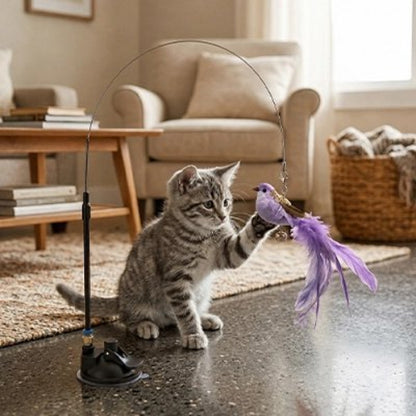 jouet pour chat oiseau violet chat assis salon
