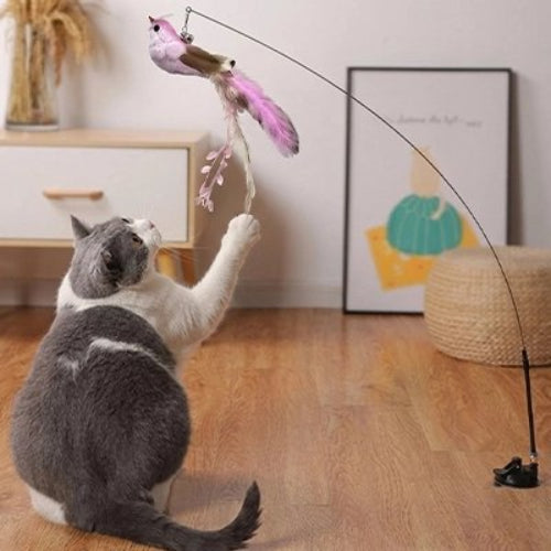 jouet pour chat oiseau violet chat attrapant salon