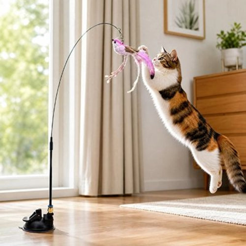 jouet pour chat oiseau violet chat sautant salon