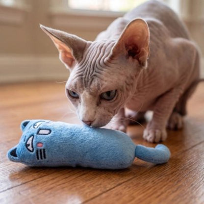 jouet pour chat peluche attractive bleu avec chat