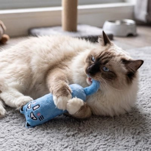 jouet pour chat peluche attractive bleu chat mordant