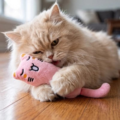 jouet pour chat peluche attractive rose chat attrapant