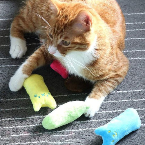 jouet pour chat peluche coloree avec chat