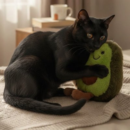 jouet pour chat peluche design avocat avec chat