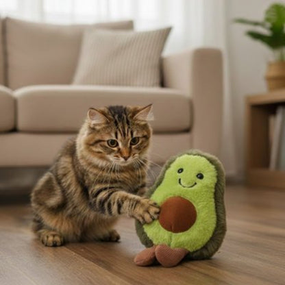 jouet pour chat peluche design avocat chat jouant