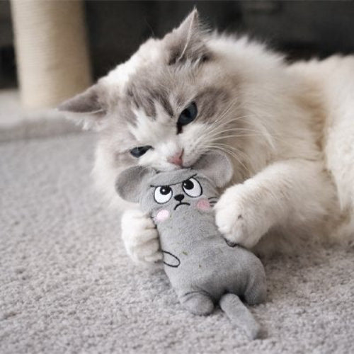 jouet pour chat peluche grise chat mordant