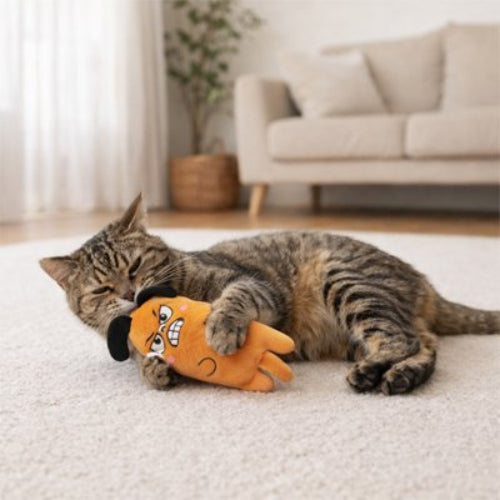 jouet pour chat peluche orange chat attrapant
