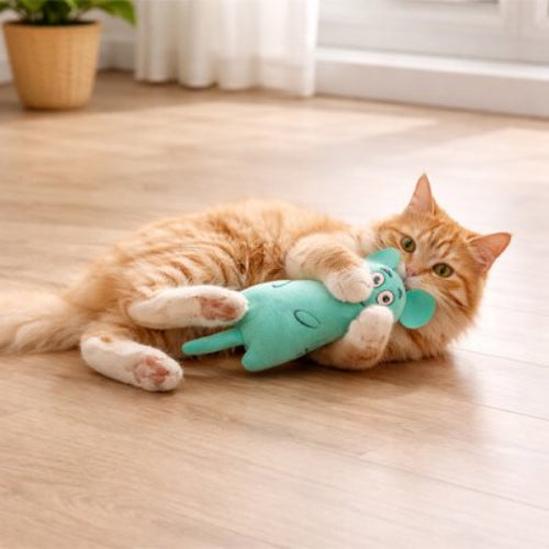 jouet pour chat peluche turquoise chat attrapant