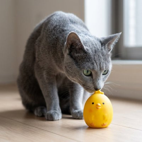 jouet pour chat poussin avec chat