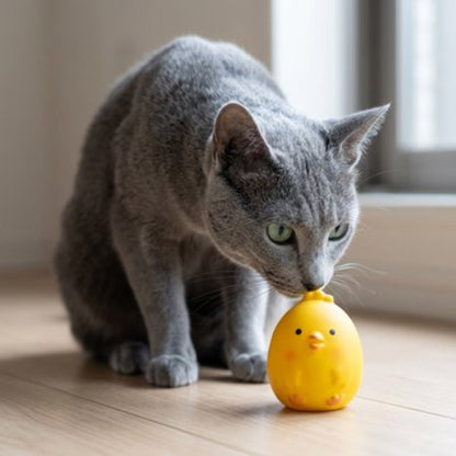jouet pour chat poussin avec chat