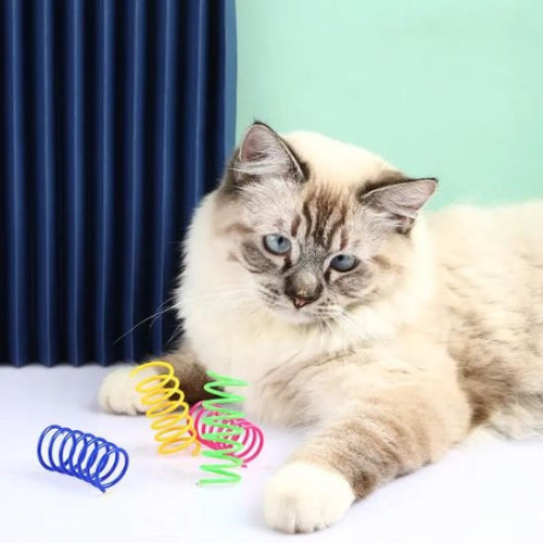 jouet pour chat ressorts colores chat allonge