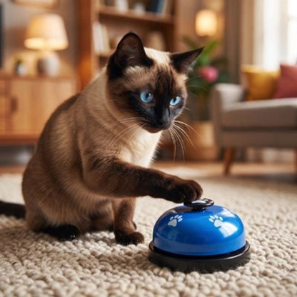 jouet pour chat sonnette interactive bleu chat jouant