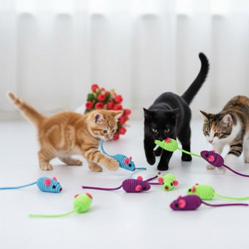 jouet pour chat souris douce chatons jouant