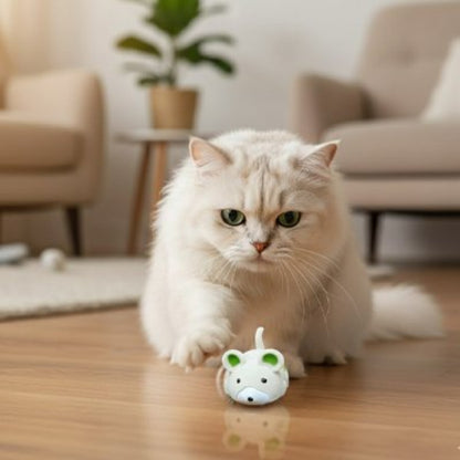 jouet pour chat souris electrique verte chat jouant salon