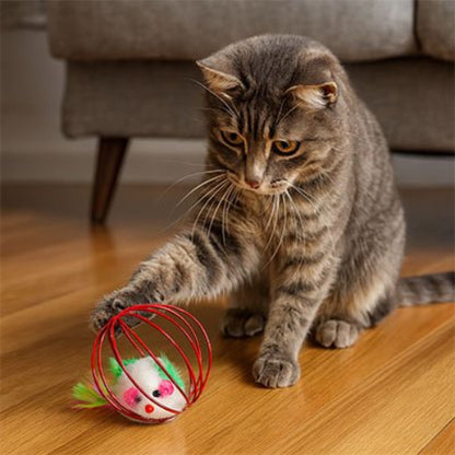 jouet pour chat souris en cage rouge chat jouant
