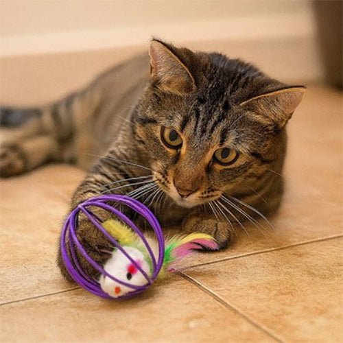 jouet pour chat souris en cage violet avec chat