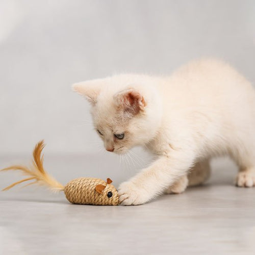 jouet pour chat souris en sisal avec chaton