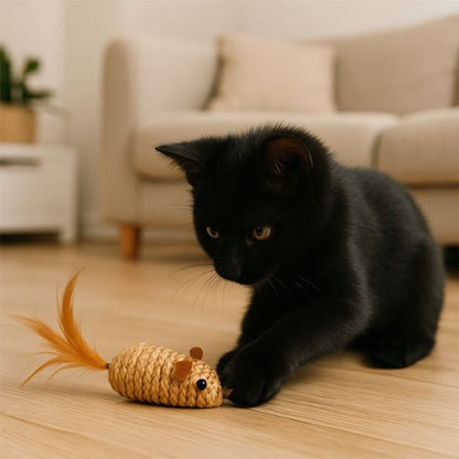 jouet pour chat souris en sisal chaton jouant salon