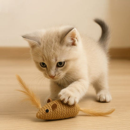 jouet pour chat souris en sisal chaton jouant