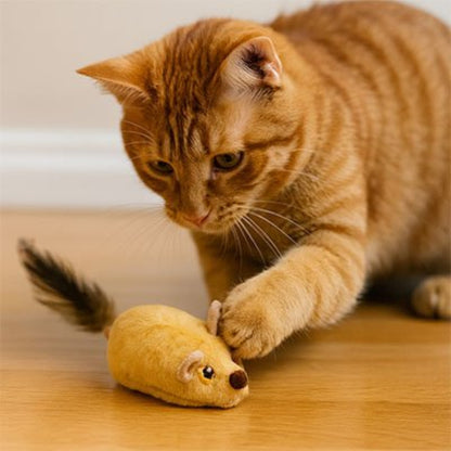jouet pour chat souris telecommande jaune chat jouant
